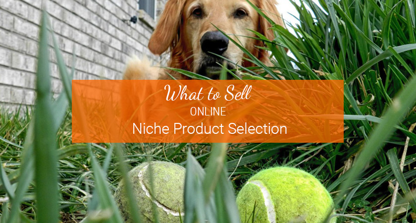 Niche Products to Sell Online